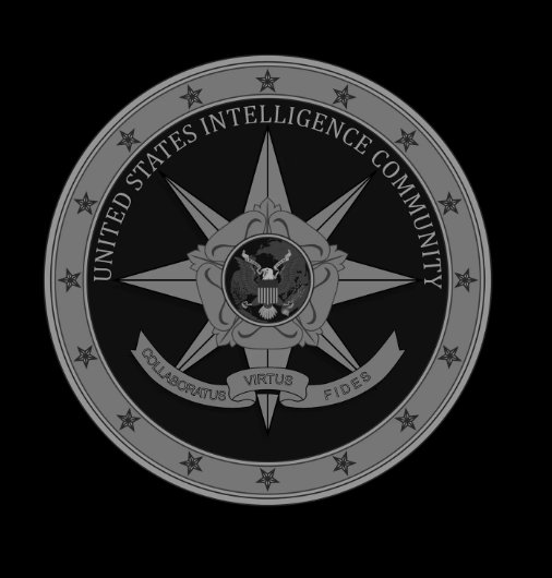 US Intelligence Community